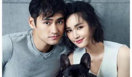 赴美娱乐圈爆料热点事件